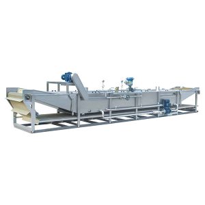 Blanching Machine