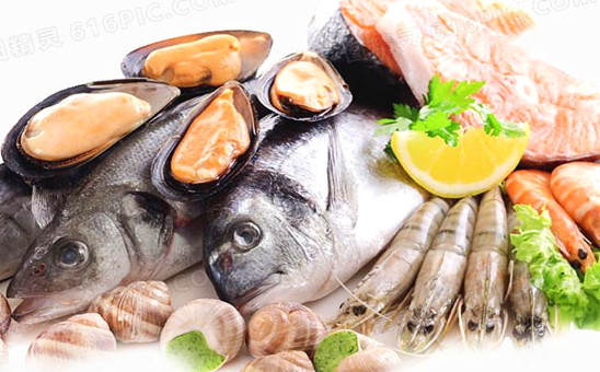 Seafood and Fish Series