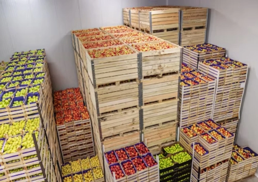 How to Reduce Energy Consumption in Industrial Food Freezing